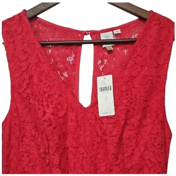 New Anthropologie Seen Worn Kept Elegant Pink Rose Lace V-neck Dress Size 4 - Picture 5 of 7